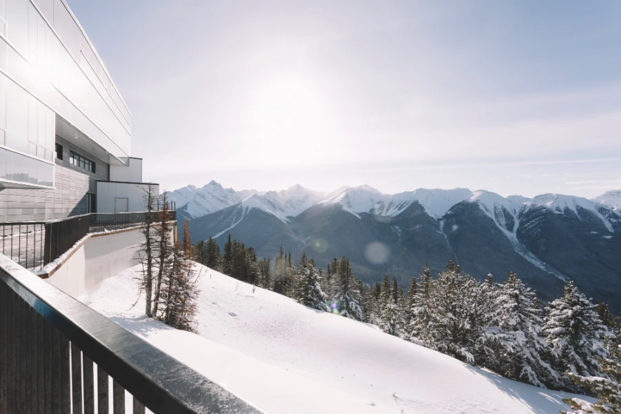 Chalet de prestige dans les Alpes françaises, vue montagne et bois naturel